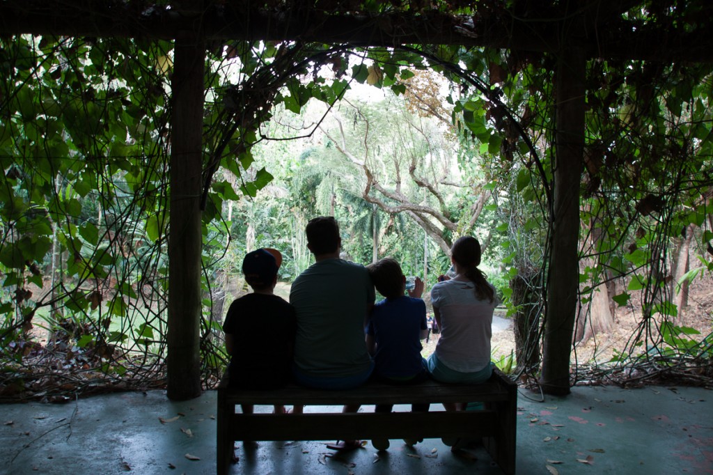 It was super-humid in Fiji, which sapped our energy,  so the Garden of the Sleeping Giant was a nice place to pass some time.