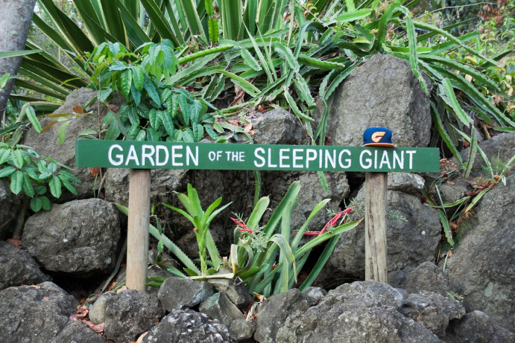 We visited the 'Garden of the Sleeping Giant', called so because it is located at the base of a mountain called... the Sleeping Giant.  This garden specialised in growing orchids. 